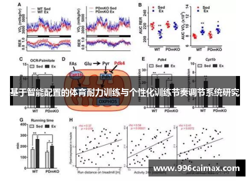 基于智能配置的体育耐力训练与个性化训练节奏调节系统研究
