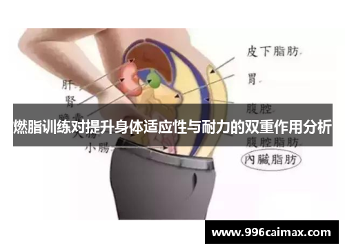 燃脂训练对提升身体适应性与耐力的双重作用分析